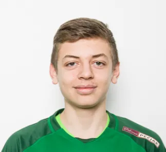 Tarik Nikolovski logo