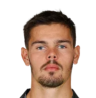 Dominik Kotarski logo