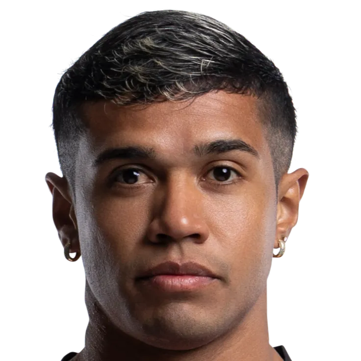 Paul Breitner Villero Arevalo logo