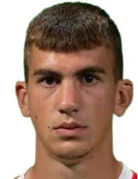 Veljko Milosavljević logo