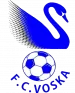 Voska Sport logo