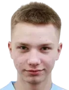 Denis Nikonorov logo