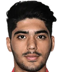 Amir Mehdi Janmaleki logo