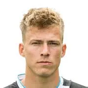 Dario Van Den Buijs logo