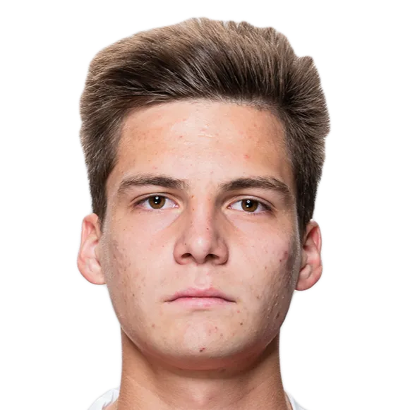 Nikita Bakalyuk logo