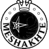 Meshakhte Tkibuli U19 logo