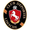 Deportes Limache (W) logo