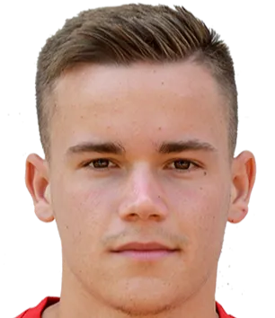 Nemanja Dragutinović photo 