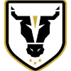 Bulls Academy logo