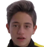 Daniele Suliani logo