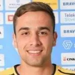 Sinisa Borenovic photo