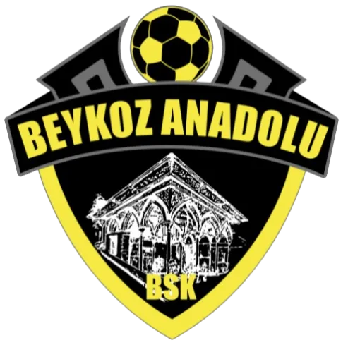 Beykoz Anadolu logo