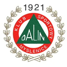 Dalin Myslenice logo