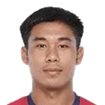 Saphaba Singh Telem logo