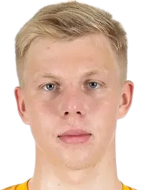 Nikita Zubchikhin logo