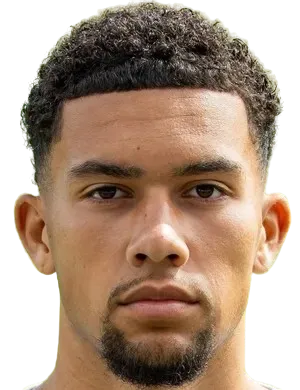 Jaylan van Schooneveld logo