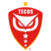 Teco FC Women logo