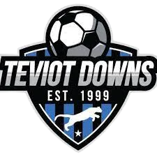 Teviot Downs SC logo