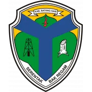 Persibri Batanghari logo