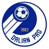 Dalian Professional U17 logo