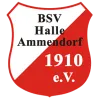 BSV Halle-Ammendorf logo