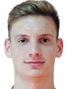 Dominik Stranak logo