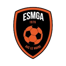 ES du Mont-Gaillard logo