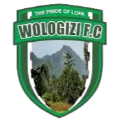 Wologizi