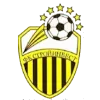 Stroyinvest FC logo