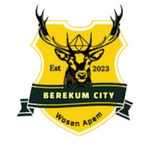 Berekum City