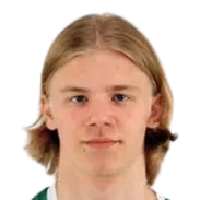 Niklas Leinonen logo