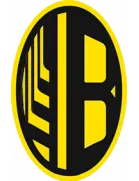 FC Vilkhivtsi logo