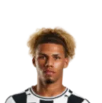 Nathan·Santos de Araujo photo 