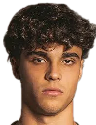 Federico Chinetti logo