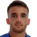 Henri Sulovari photo