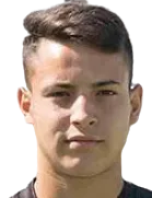 Vincenzo Vitale logo