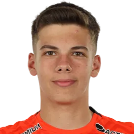 Stefan Radulescu photo 