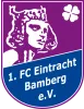 Eintracht Bamberg logo