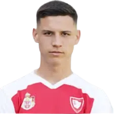 strahinja rakic logo