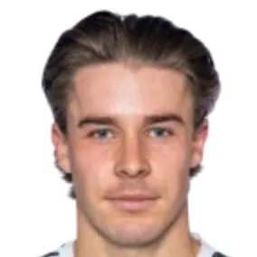 Jørgen Vedal Sjøl logo