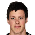 Nikola Ninković logo