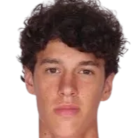 Petar Pavlicevic logo