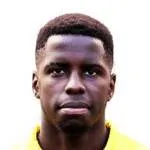 Lionel Zouma logo
