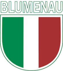 Blumenau SC logo