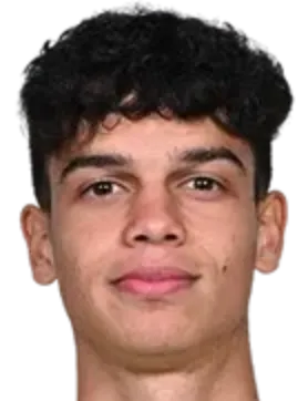 David Paraschiv logo