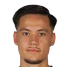 Armin domuzeti photo 