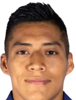 ricardo salvador logo