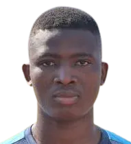 Paul Odunayo Aderibigbe logo