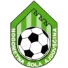ZNK Ajdovscina Women logo
