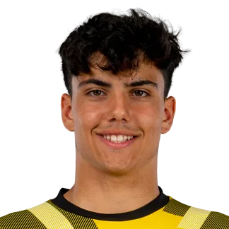 Vincenzo Onofrietti Teixeira logo